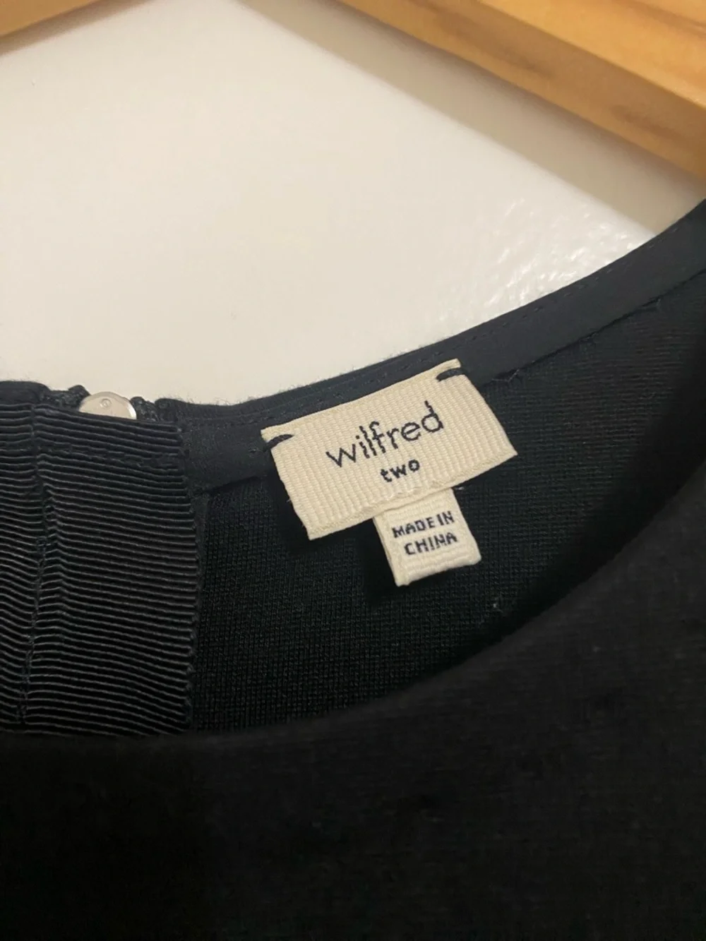 Aritzia fitted bodice